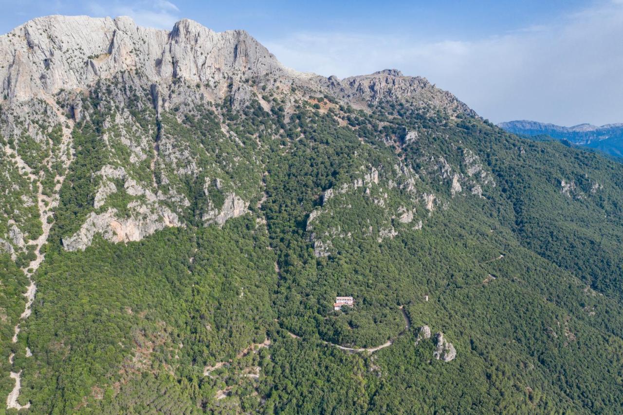 S'enis Monte Maccione Oliena