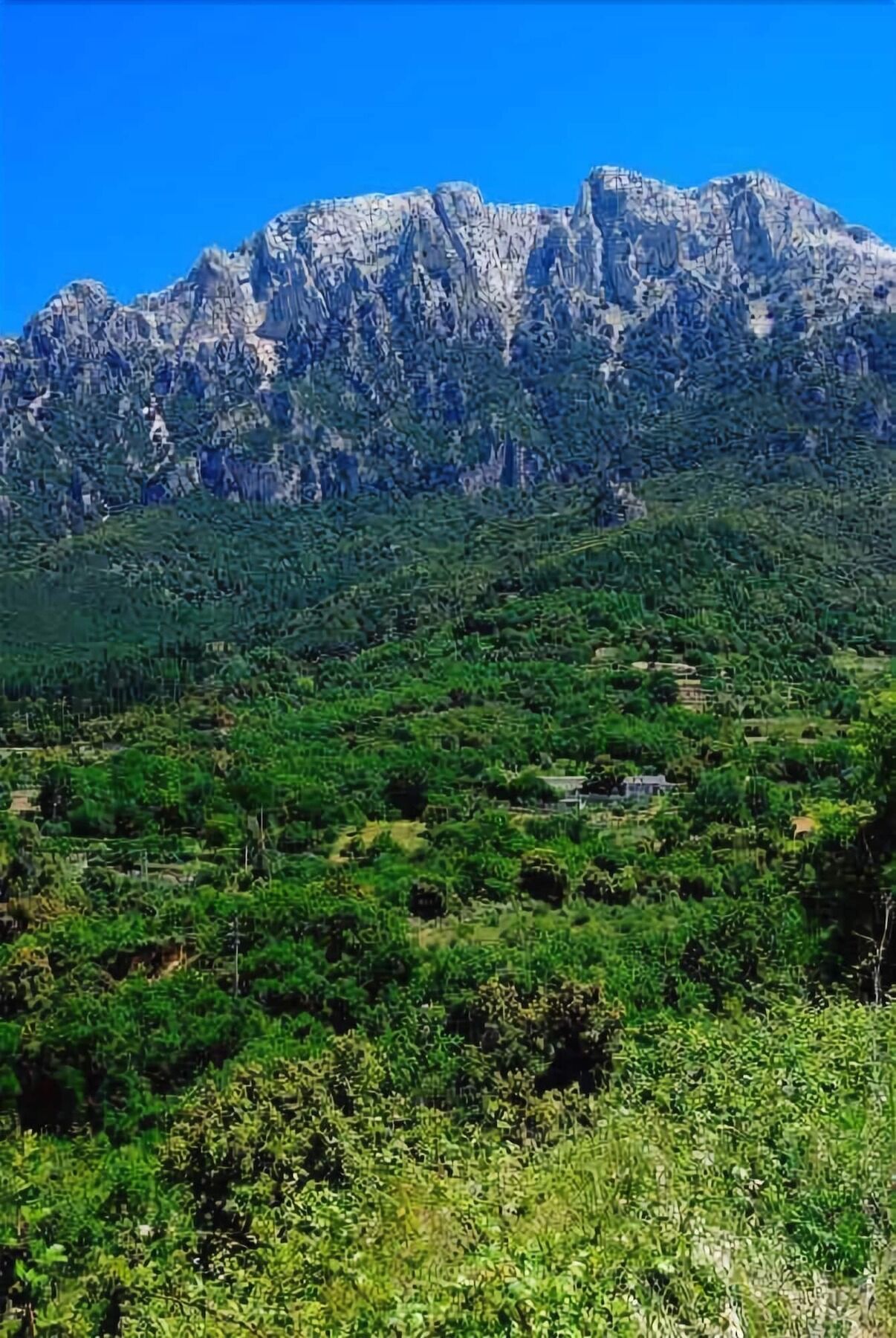 S'enis Monte Maccione Oliena