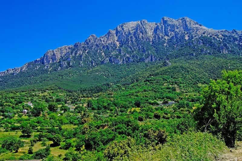 S'enis Monte Maccione Hotel