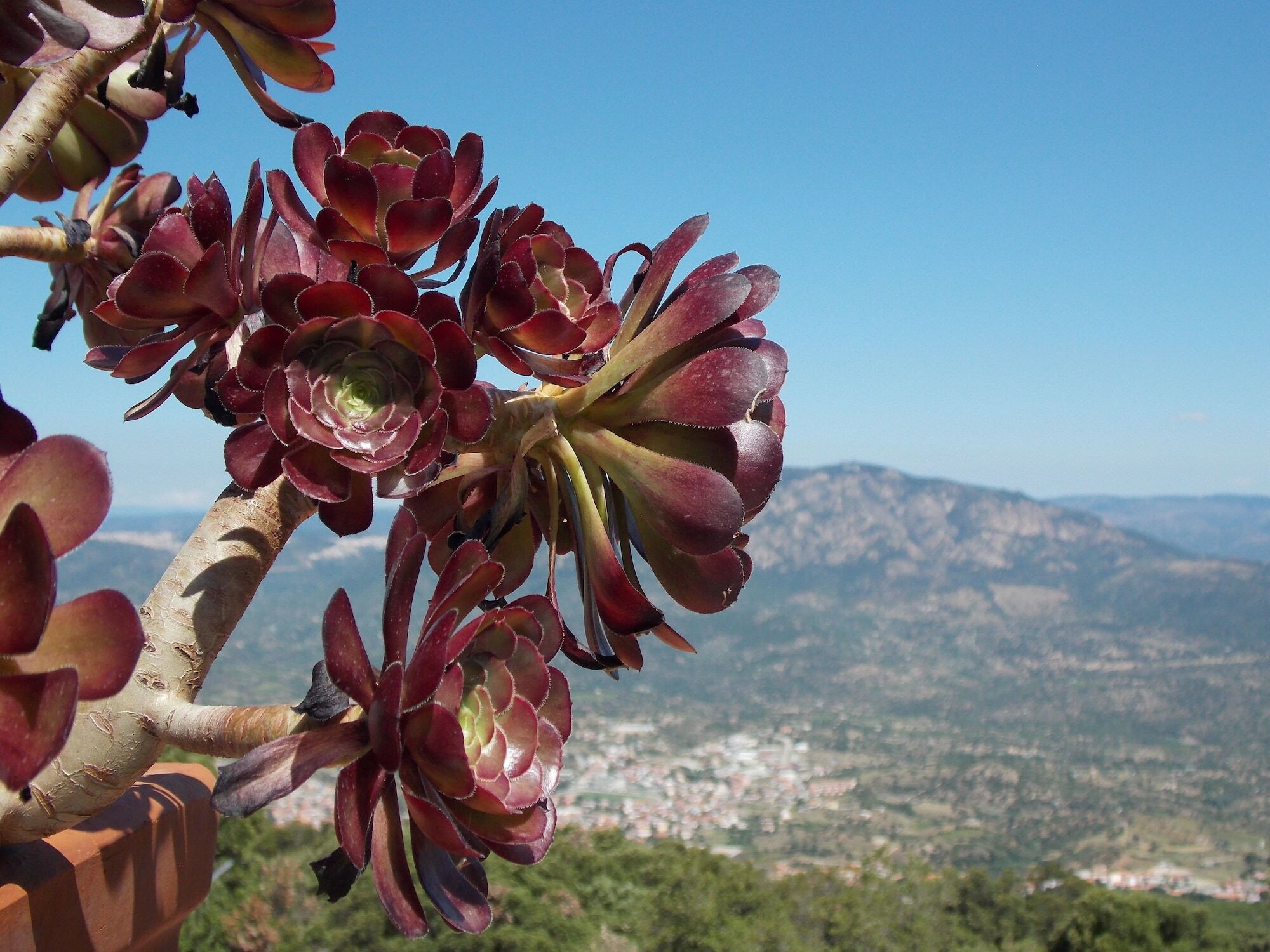 S'enis Monte Maccione Hotel